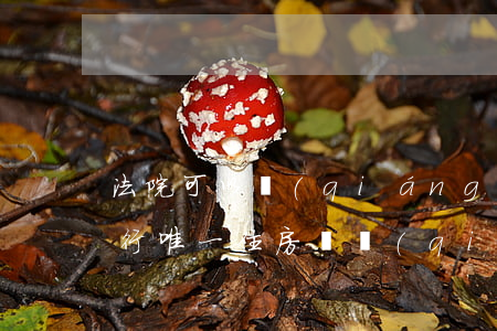 法院可以強(qiáng)制執(zhí)行唯一住房嗎(強(qiáng)制執(zhí)行會執(zhí)行唯一住房嗎)