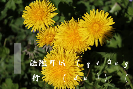 法院可以強(qiáng)制執(zhí)行軍隊(duì)財(cái)產(chǎn)嗎(地方法院能強(qiáng)制執(zhí)行部隊(duì)嗎)