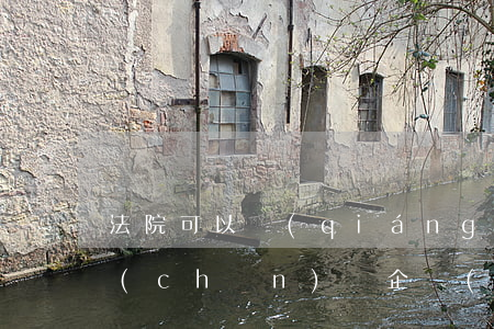 法院可以強(qiáng)制宣布公司破產(chǎn)嗎(企業(yè)破產(chǎn),法院還可以強(qiáng)制執(zhí)行嗎)