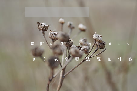 法院可以強(qiáng)制扣養(yǎng)老金嗎(法院在什么情況下才扣養(yǎng)老金)
