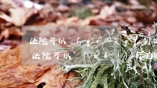 法院可以強(qiáng)制拍賣自建房嗎(法院可以執(zhí)行自建房嗎)