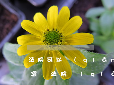 法院可以強(qiáng)制結(jié)案嗎(法院強(qiáng)制執(zhí)行結(jié)案)
