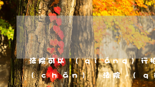 法院可以強(qiáng)行拍賣他的房產(chǎn)嗎(法院強(qiáng)制執(zhí)行拍賣的房子一般賣多少錢(qián)?)
