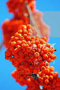 法院可以強(qiáng)遷戶口嗎(法院強(qiáng)制執(zhí)行到戶口所在地嗎)