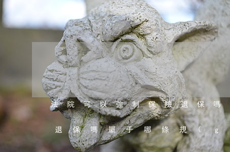 法院可以強制保險退保嗎(法院可以強制保險退保嗎,屬于哪條規(guī)定)