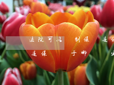 法院可以強制保險退保嗎(法院可以強制保險退保嗎,屬于哪條規定)