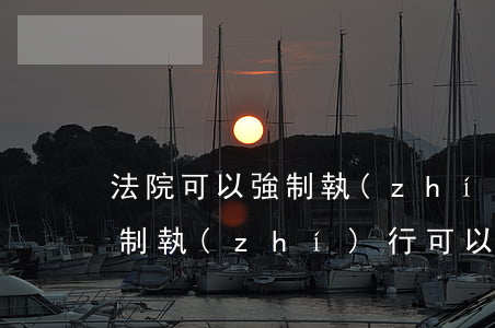 法院可以強制執(zhí)行個人社保嗎(強制執(zhí)行可以執(zhí)行社保嗎)