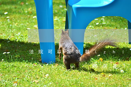 法院可以強制執(zhí)行有貸款的房產(chǎn)嗎(房產(chǎn)抵押貸款法院能強制執(zhí)行嗎?)