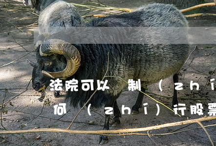 法院可以強制執(zhí)行股票嗎(法院如何執(zhí)行股票)