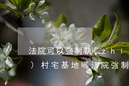 法院可以強制執(zhí)行農(nóng)村宅基地嗎(法院強制執(zhí)行會執(zhí)行農(nóng)村宅基地嗎)