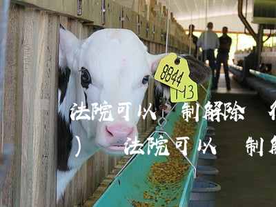 法院可以強制解除銀行的抵押權(quán)嗎(法院可以強制解除銀行的抵押權(quán)嗎)
