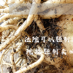 法院可以强制卖我房子吗(房子抵押给别人法院能强制卖吗)