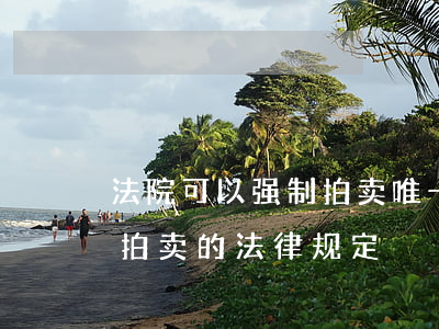 法院可以强制拍卖唯一住房吗(唯一住房可以拍卖的法律规定)