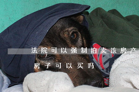 法院可以强制拍卖该房产吗(法院公开拍卖的房子可以买吗)