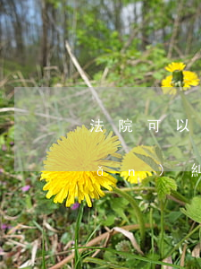 法院可以房產(chǎn)嗎(有房產(chǎn)糾紛的房子法院能執(zhí)行嗎)