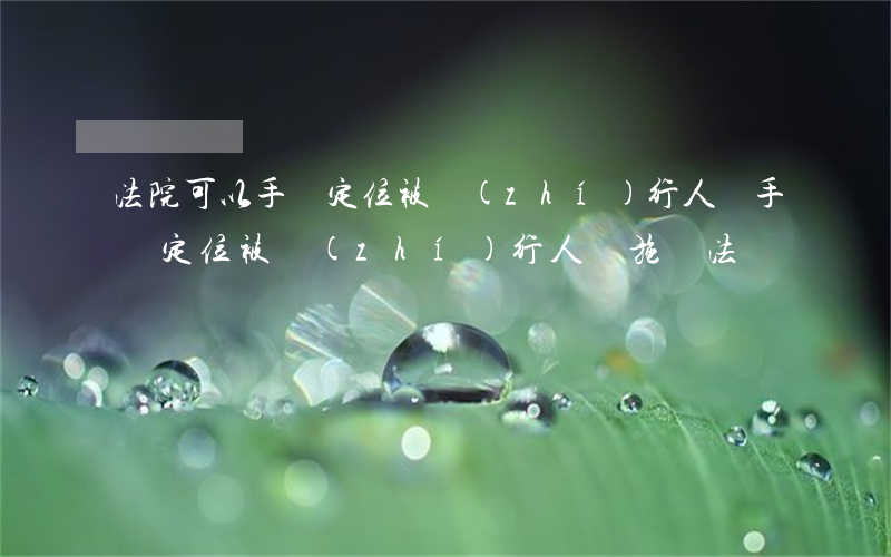 法院可以手機定位被執(zhí)行人嗎(手機定位被執(zhí)行人實施辦法)