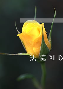 法院可以打行政官司嗎(行政訴官司能不能打)