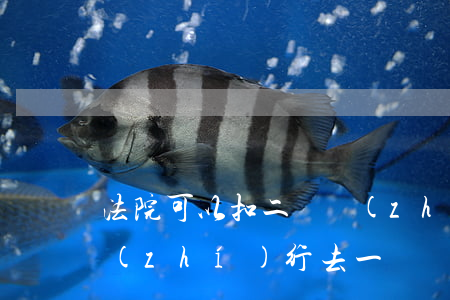 法院可以扣二審執(zhí)行款嗎(強制執(zhí)行去一審還是二審法院執(zhí)行)