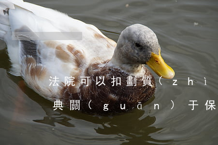 法院可以扣劃質(zhì)押保證金嗎(民法典關(guān)于保證金質(zhì)押)