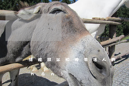 法院可以扣押失信人的財(cái)產(chǎn)嗎