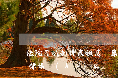 法院可以扣押廉租房嗎(廉租房私下買賣受法律保護(hù)么)