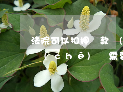 法院可以扣押貸款車(chē)嗎(法院扣押車(chē)輛需要什么手續(xù))