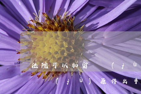 法院可以扣留證據(jù)原件嗎(法官收了證據(jù)原件出手續(xù)嗎)