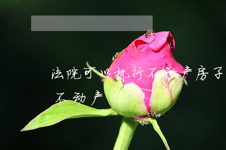 法院可以执行不动产房子吗(民法典强制执行不动产)