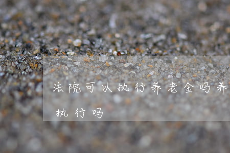 法院可以执行养老金吗(养老金法院可以强制执行吗)