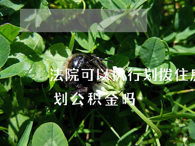 法院可以执行划拨住房公积金吗(法院可以扣划公积金吗)