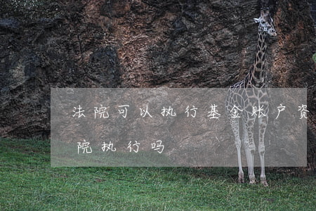 法院可以执行基金账户资金吗(基金可以被法院执行吗)