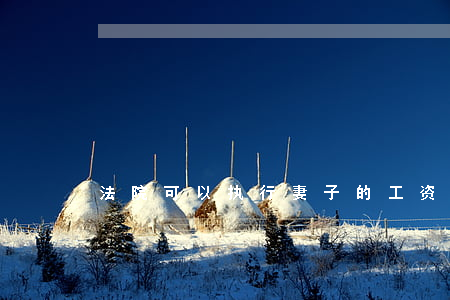 法院可以执行妻子的工资吗