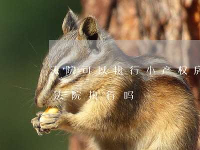 法院可以执行小产权房子吗(小产权房可以被法院执行吗)