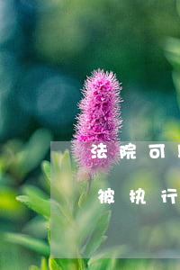 法院可以执行工资卡的工资吗(法院如何执行被执行人的工资)
