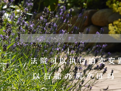 法院可以执行拍卖安置房吗(法院拍卖安置房以后能办房产证吗?)