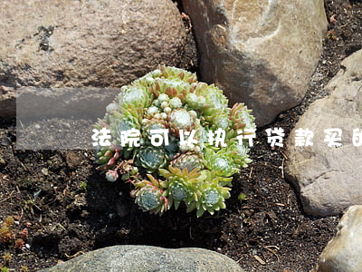 法院可以执行贷款买的房子吗