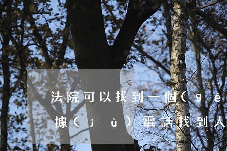 法院可以找到一個(gè)人嗎(法院可以根據(jù)電話找到人嗎)