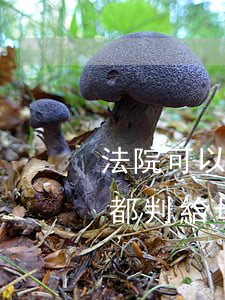 法院可以把孩子判給母親嗎(為什么孩子一般都判給母親)