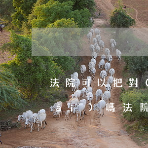 法院可以把對(duì)方的房子拍賣(mài)嗎(法院拍賣(mài)的房子可以賣(mài)嗎)
