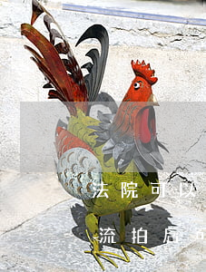 法院可以把按揭房拍賣抵債嗎(法院拍賣房子流拍后可以抵債嗎)