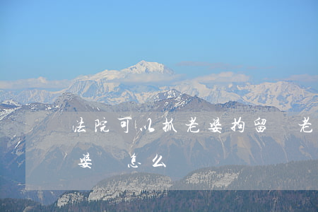 法院可以抓老婆拘留嗎(老公被刑事拘留了老婆該怎么辦)