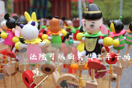法院可以拍卖债主车子吗(法院拍卖车可以卖吗)