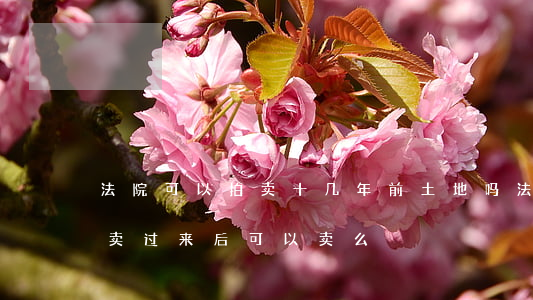 法院可以拍卖十几年前土地吗(法院的房子拍卖过来后可以卖么)
