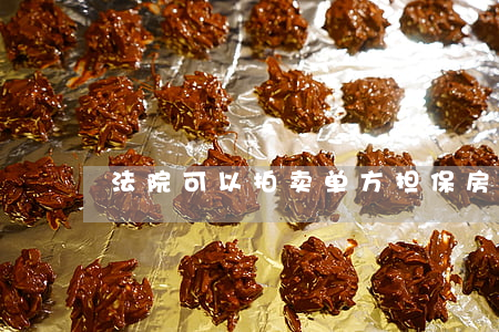 法院可以拍卖单方担保房产吗