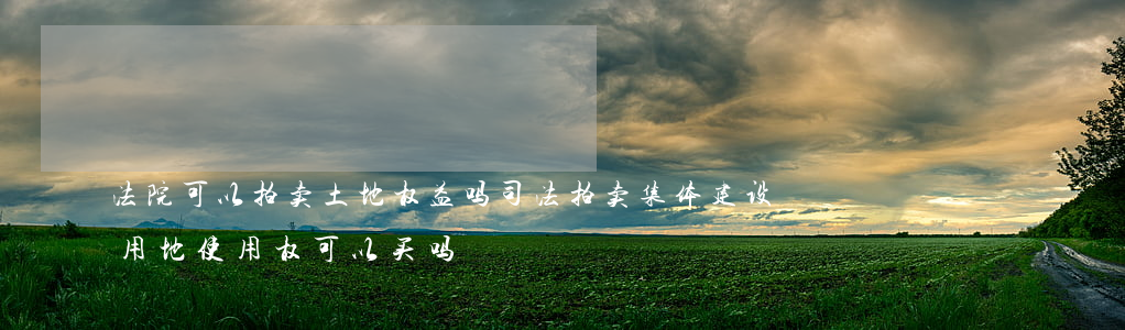 法院可以拍卖土地权益吗(司法拍卖集体建设用地使用权可以买吗?)