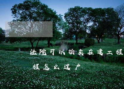法院可以拍卖在建工程吗(法院拍卖的在建工程怎么过户)