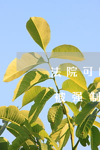 法院可以拍卖夫妻共同房产吗(夫妻共同房产被强制拍卖 一方不知情)