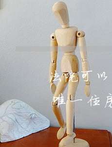 法院可以拍卖欠债人唯一住房吗(法院会拍卖唯一住房按揭房吗)