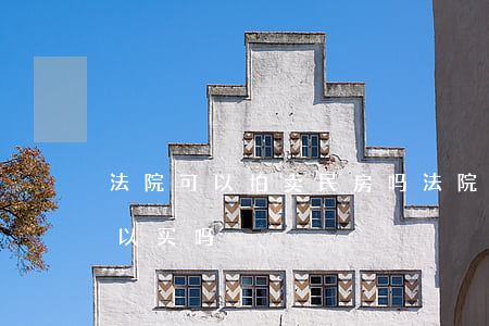 法院可以拍卖民房吗(法院公开拍卖的房子可以买吗)