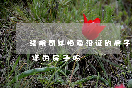法院可以拍卖没证的房子吗(法院可以拍卖没证的房子吗)